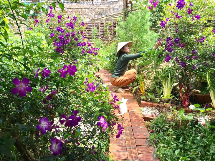 Da Lat 8