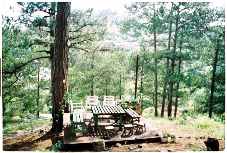Homestay View Rung