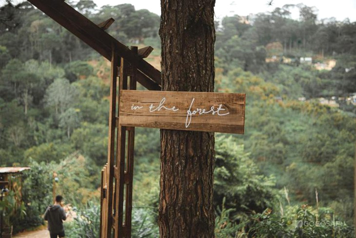 Cafe Rung Thong Da Lat 4