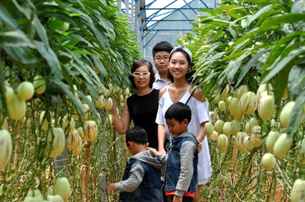 Vườn dưa hấu tí hon: Điểm đến thú vị!