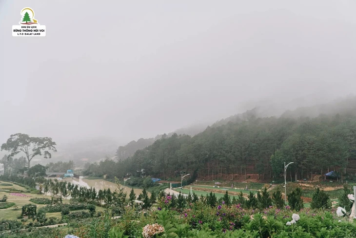 Thien Nhien Rung Thong Nui Voi