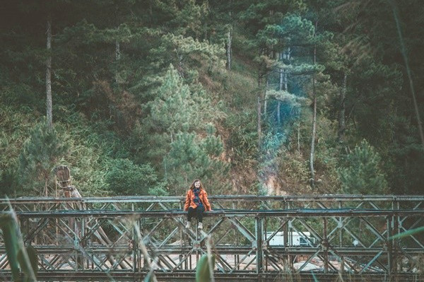 Cầu hòa mình giữa núi rừng.