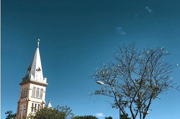 Ban trắng chớm nở tháng 12