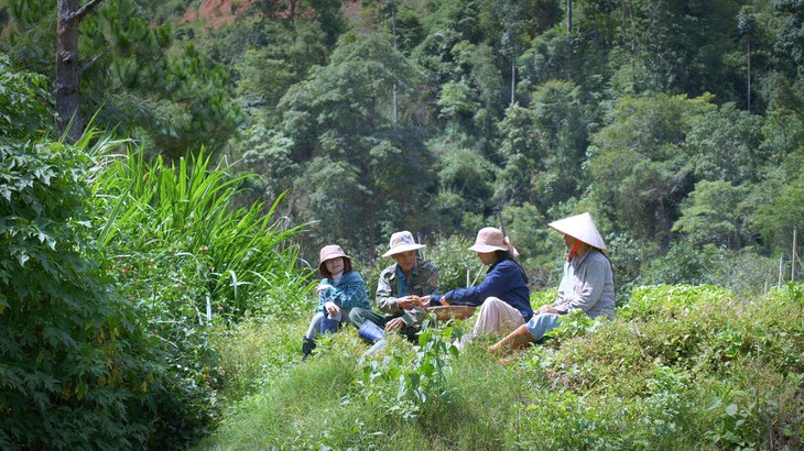 Da Lat 5