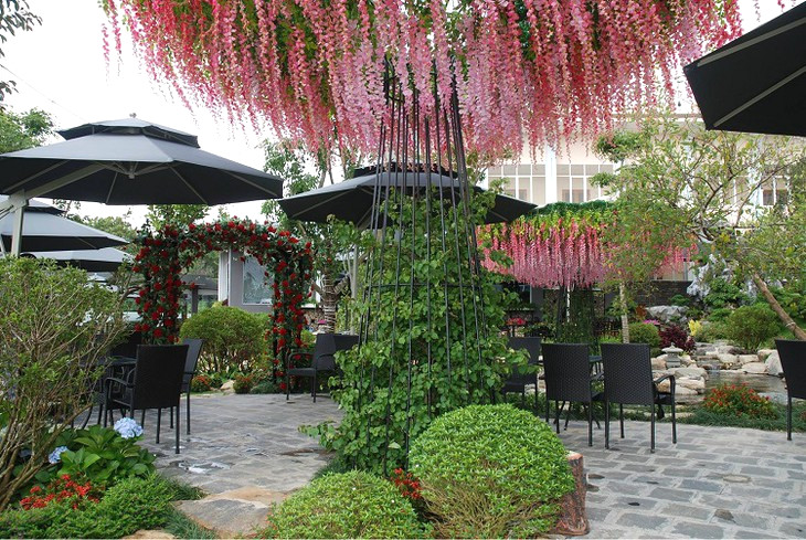 Vườn cà phê Xuân Hương