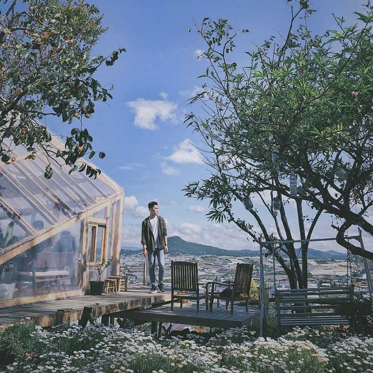 5 quán cafe đẹp nhất Đà Lạt