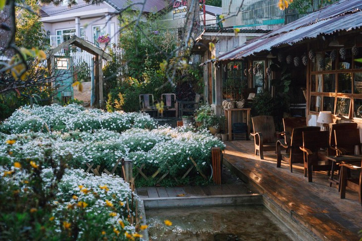 5 quán cà phê đẹp nhất Đà Lạt tui muốn tới.