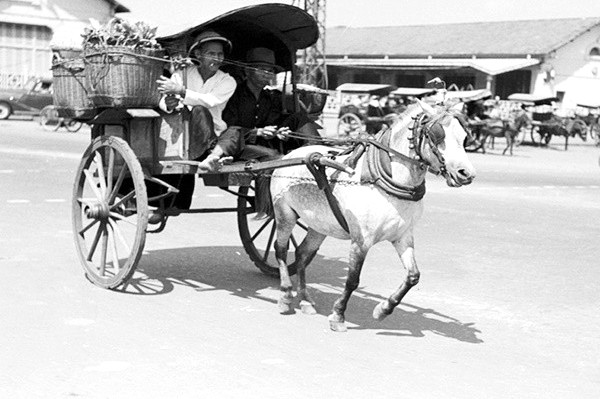 Xe ngựa là phương tiện phổ biến.