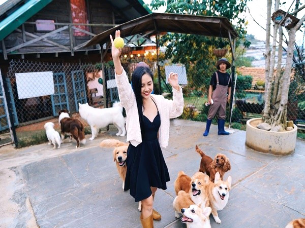 Chơi với boss, sống ảo thả ga!