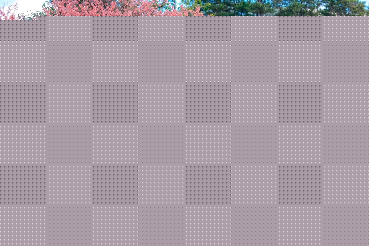 140296786 3560213334091563 2779152651214222530 O