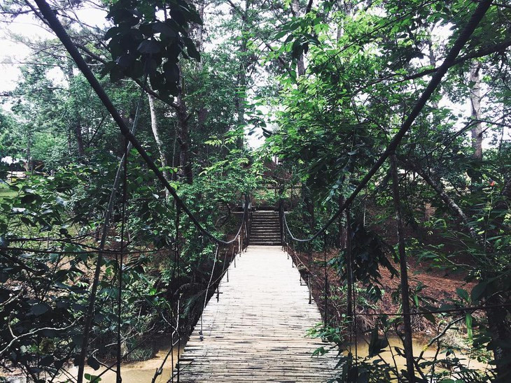 Um Ng21 Thung Lung Vang