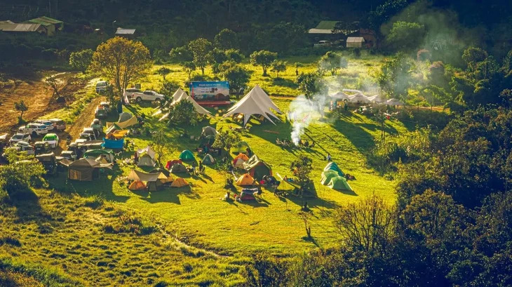 Camping Hoa Trong Rung, Đà Lạt