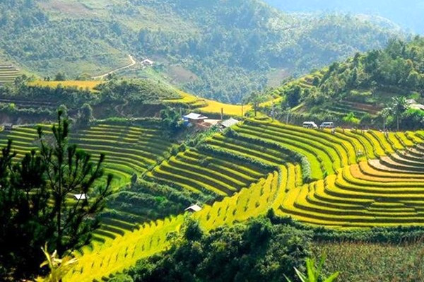 Vườn trái cây Đà Lạt