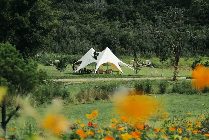 Camping The Florest Hoa Trong Rung