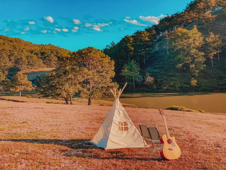 Cam Trai Doi Co Hong Da Lat
