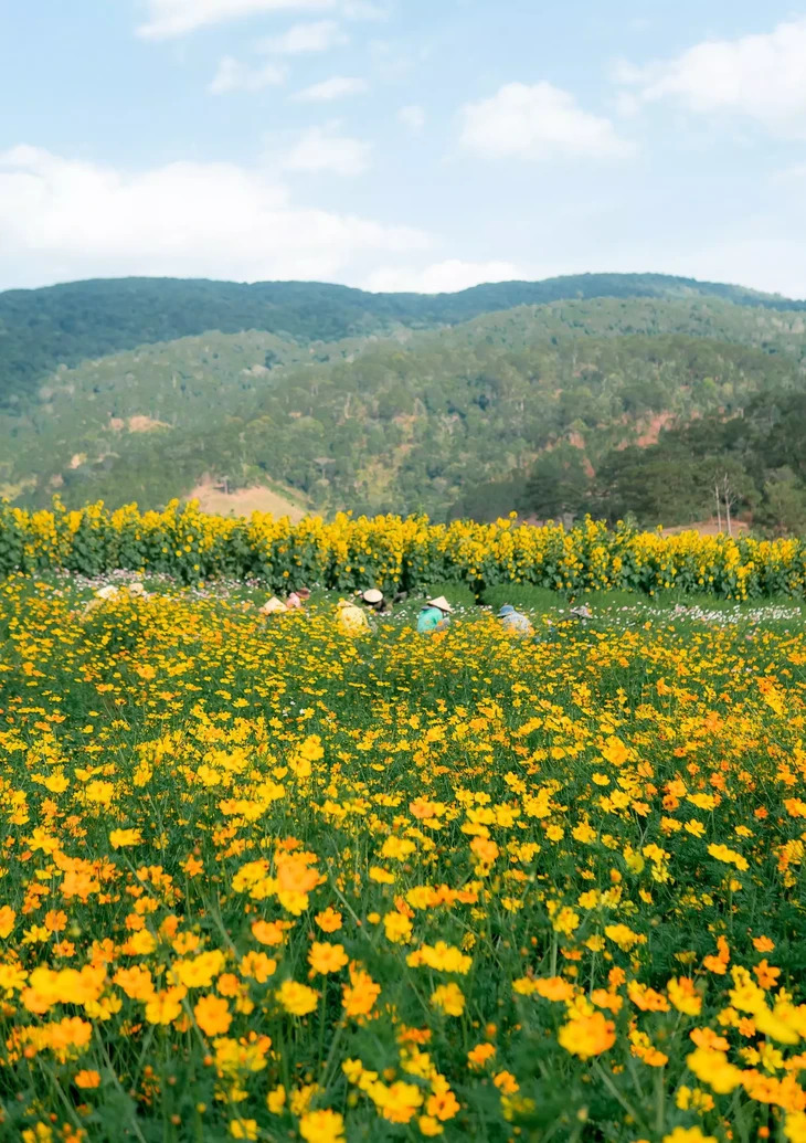 8 Thang 3 O Da Lat Di Dau