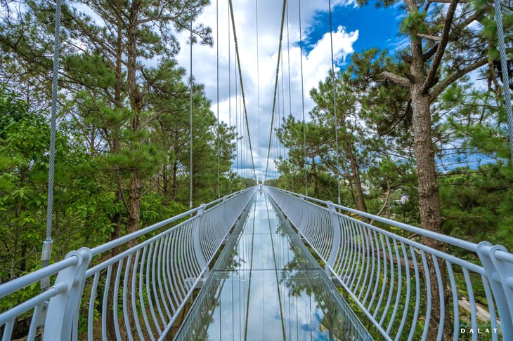 Cau Kinh Ngan Thong Da Lat 2