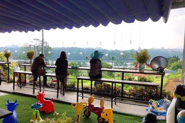 Cafe Nha Up Nguoc Da Lat