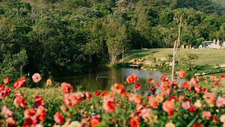 Vuon Hoa Da Lat