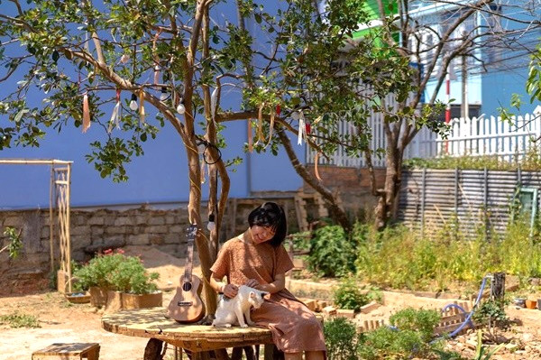 Giấc mơ lung linh, vườn đom đóm.