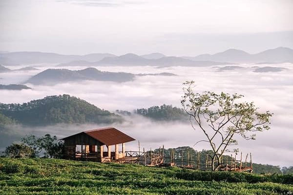 Cau Dat Da Lat