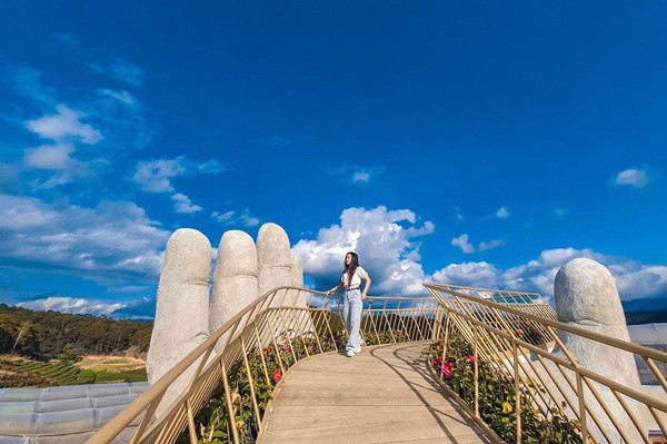 Cay Cau Vang Da Lat