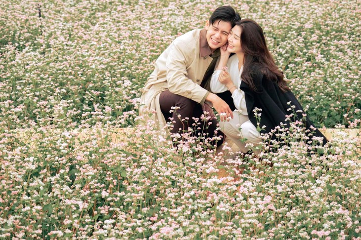 Canh Đồng Tam Giác Mạch 1 Quy Nguyên