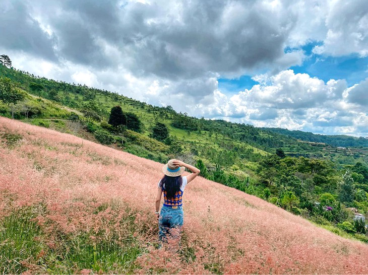 Doi Co Hong Ho Tuyen Lam