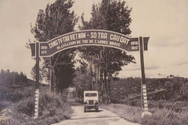 Du Lich Cau Dat Da Lat
