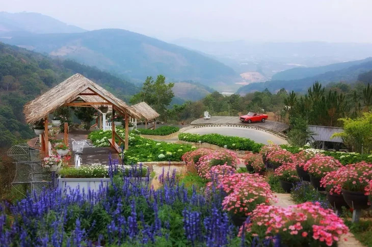 Du lịch gần nhau Đà Lạt 2
