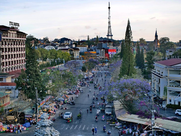 Phuong Tim Cho Da Lat 2023