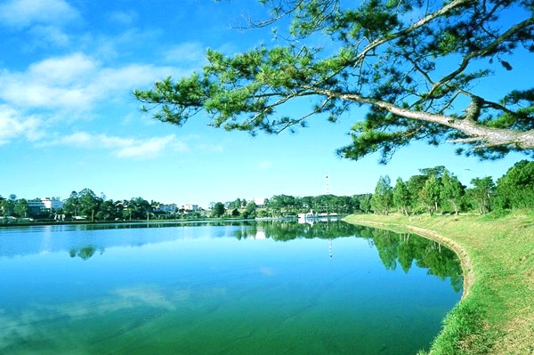 Tranh vẽ nên thơ.