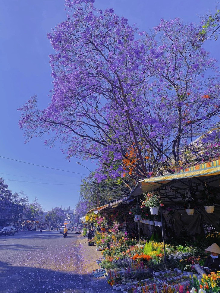 Phuong Tim Loi Vao Cho Da Lat