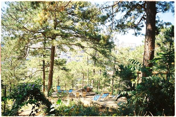 Homestay View Dep Da Lat