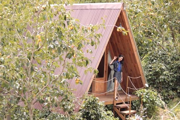 Homestay Cau Dat Da Lat