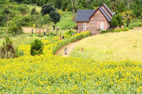 Da Lat Milk Farm