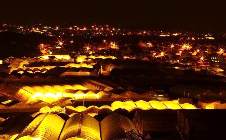 Vườn hoa Thái Phiên Đà Lạt