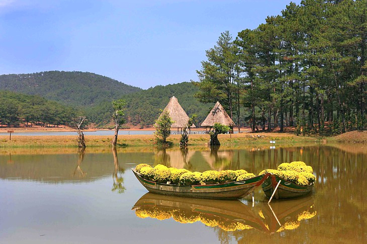 Thung Lung Vang Da Lat