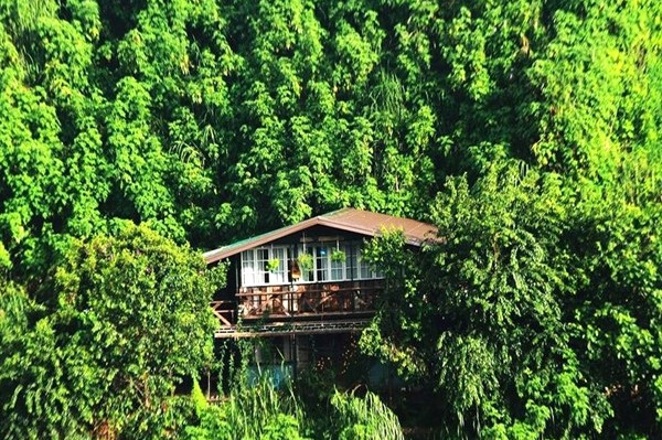 Homestay ẩn mình giữa vườn cây xanh mát.
