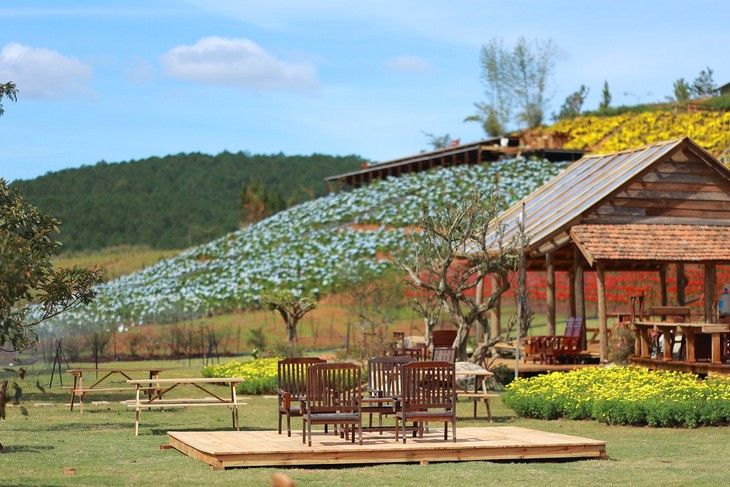 The Florest teambuilding da lat 2