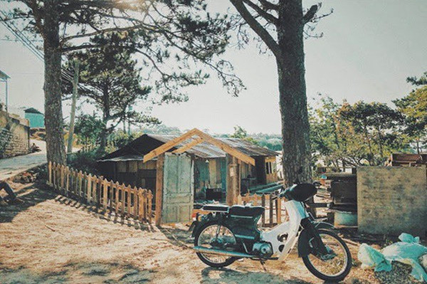 Một chút giản dị giữa ngày thường