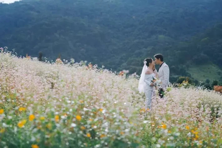Vườn hoa tam giác mạch Đà Lạt tháng 5 - The Florest
